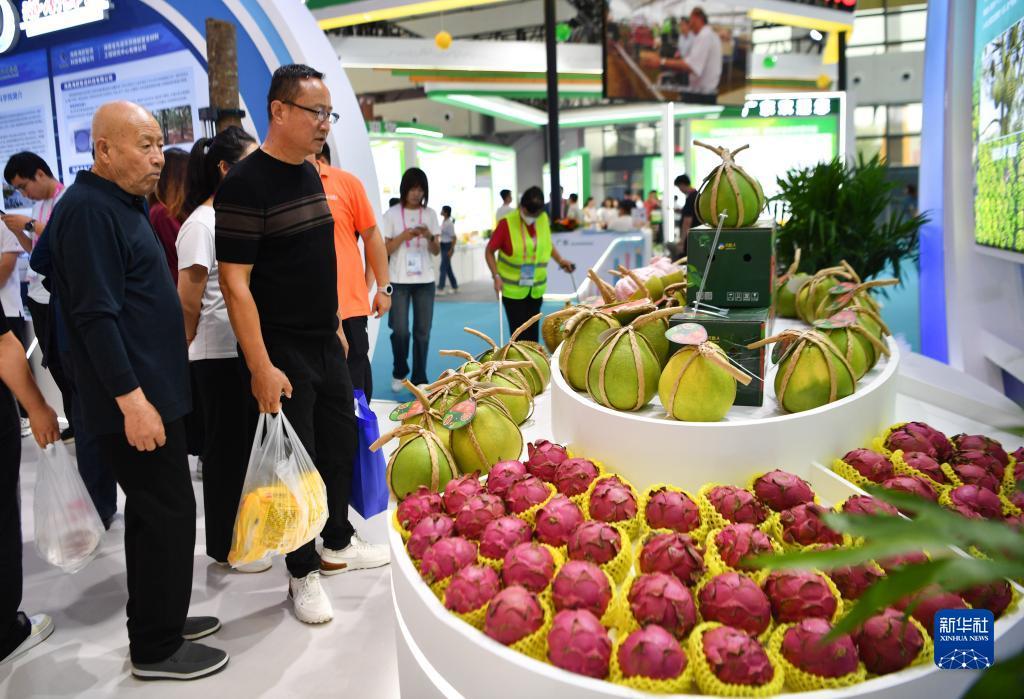 菠菜导航收录